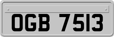 OGB7513