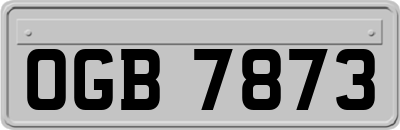 OGB7873