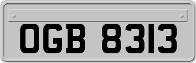 OGB8313