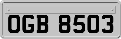 OGB8503