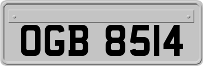 OGB8514