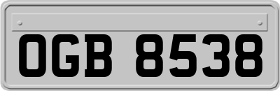 OGB8538
