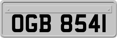OGB8541