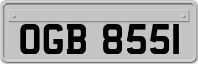 OGB8551