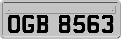 OGB8563