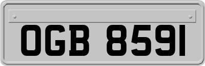 OGB8591