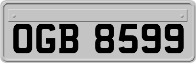 OGB8599