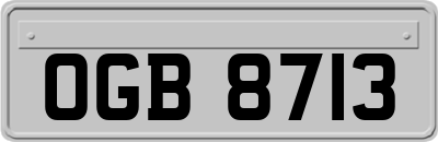 OGB8713