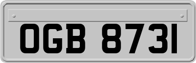 OGB8731