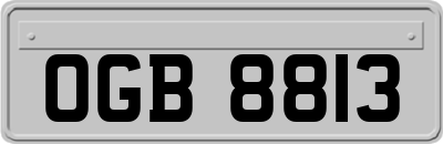 OGB8813