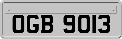OGB9013