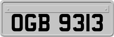 OGB9313