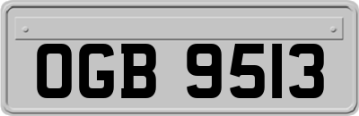 OGB9513