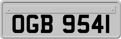 OGB9541