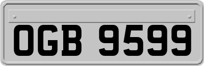 OGB9599