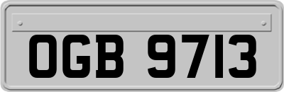 OGB9713