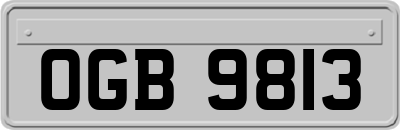 OGB9813