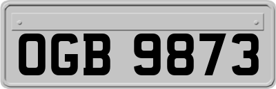 OGB9873