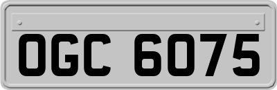 OGC6075