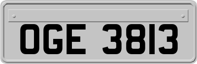 OGE3813