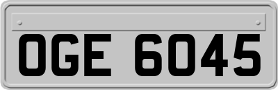 OGE6045