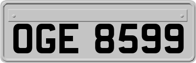 OGE8599