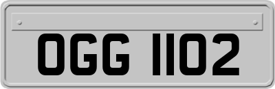 OGG1102