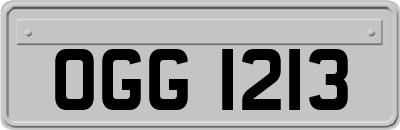 OGG1213