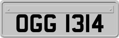 OGG1314