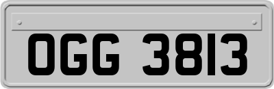 OGG3813