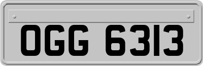 OGG6313