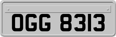 OGG8313