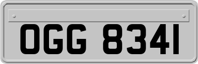 OGG8341