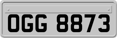 OGG8873