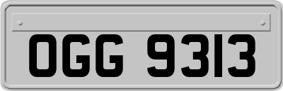 OGG9313