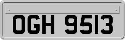 OGH9513
