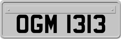 OGM1313
