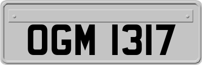 OGM1317