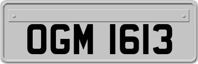 OGM1613