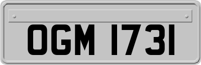 OGM1731