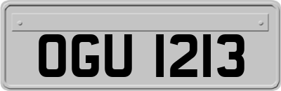 OGU1213