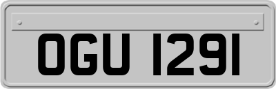 OGU1291