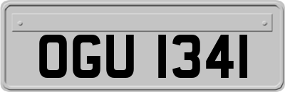 OGU1341