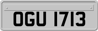 OGU1713