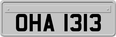 OHA1313
