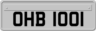 OHB1001