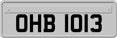 OHB1013