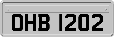 OHB1202