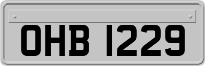 OHB1229