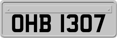 OHB1307